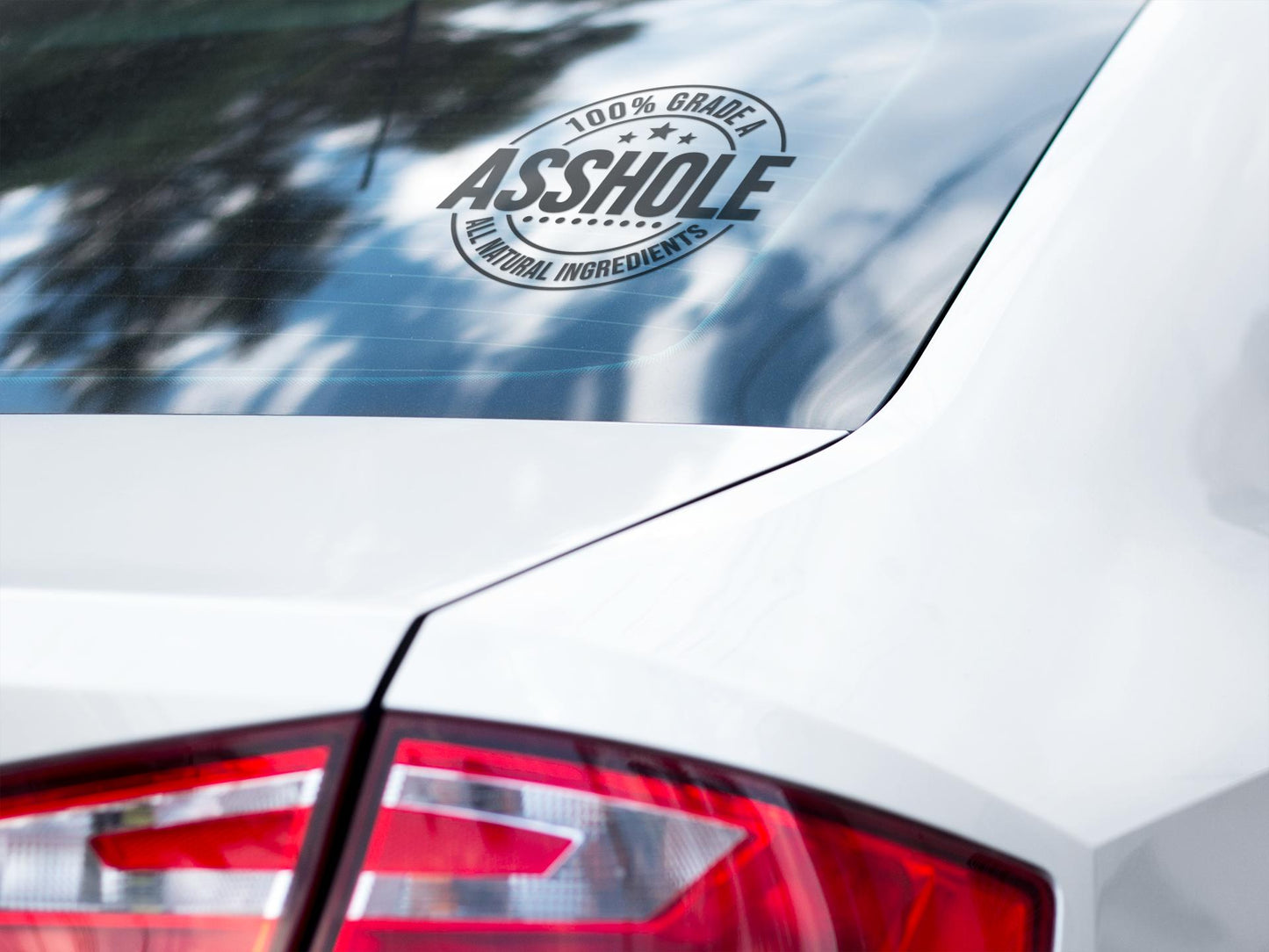 A**Hole Car Decal(2 pack) decal sticker