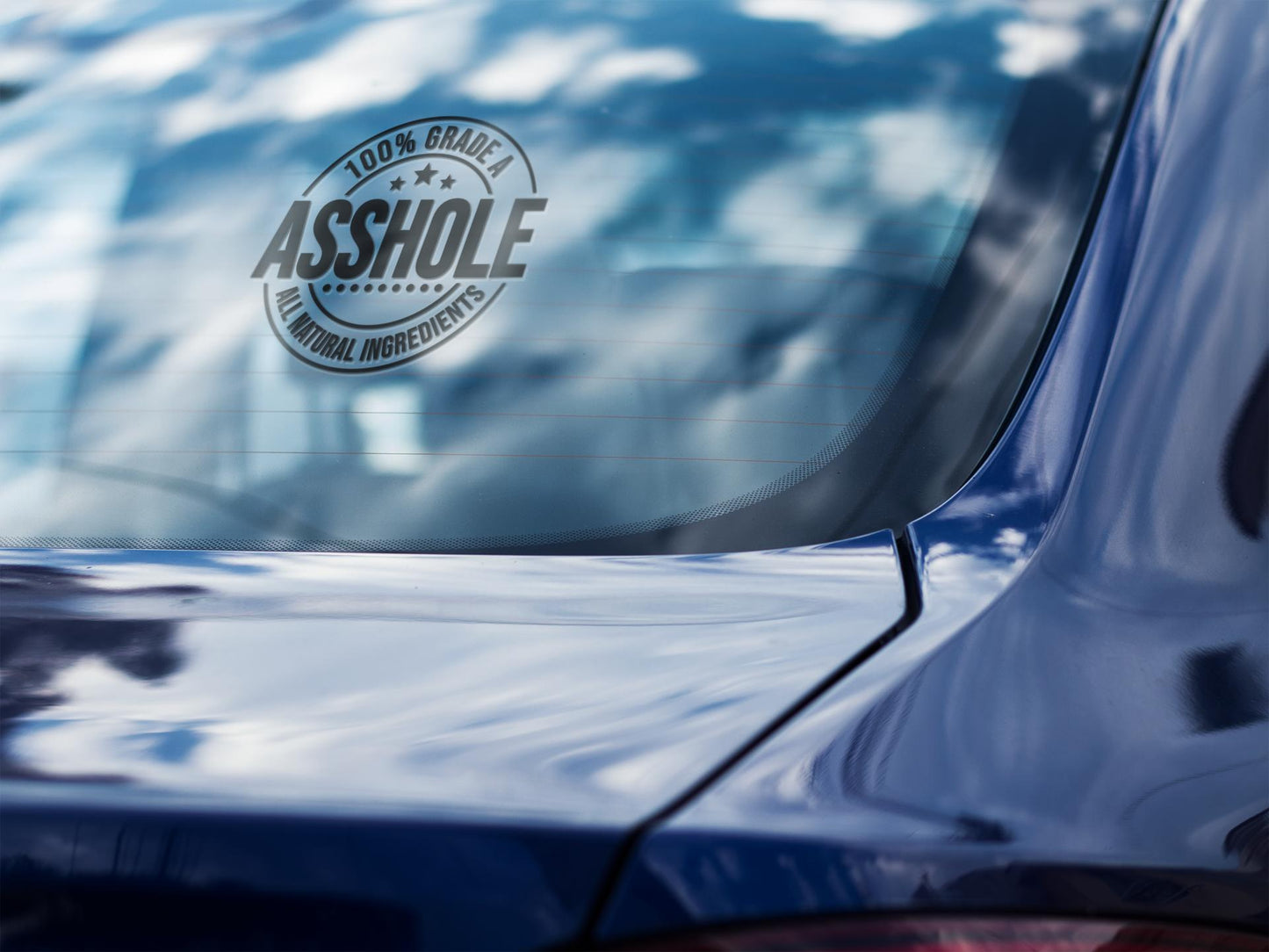 A**Hole Car Decal(2 pack) decal sticker